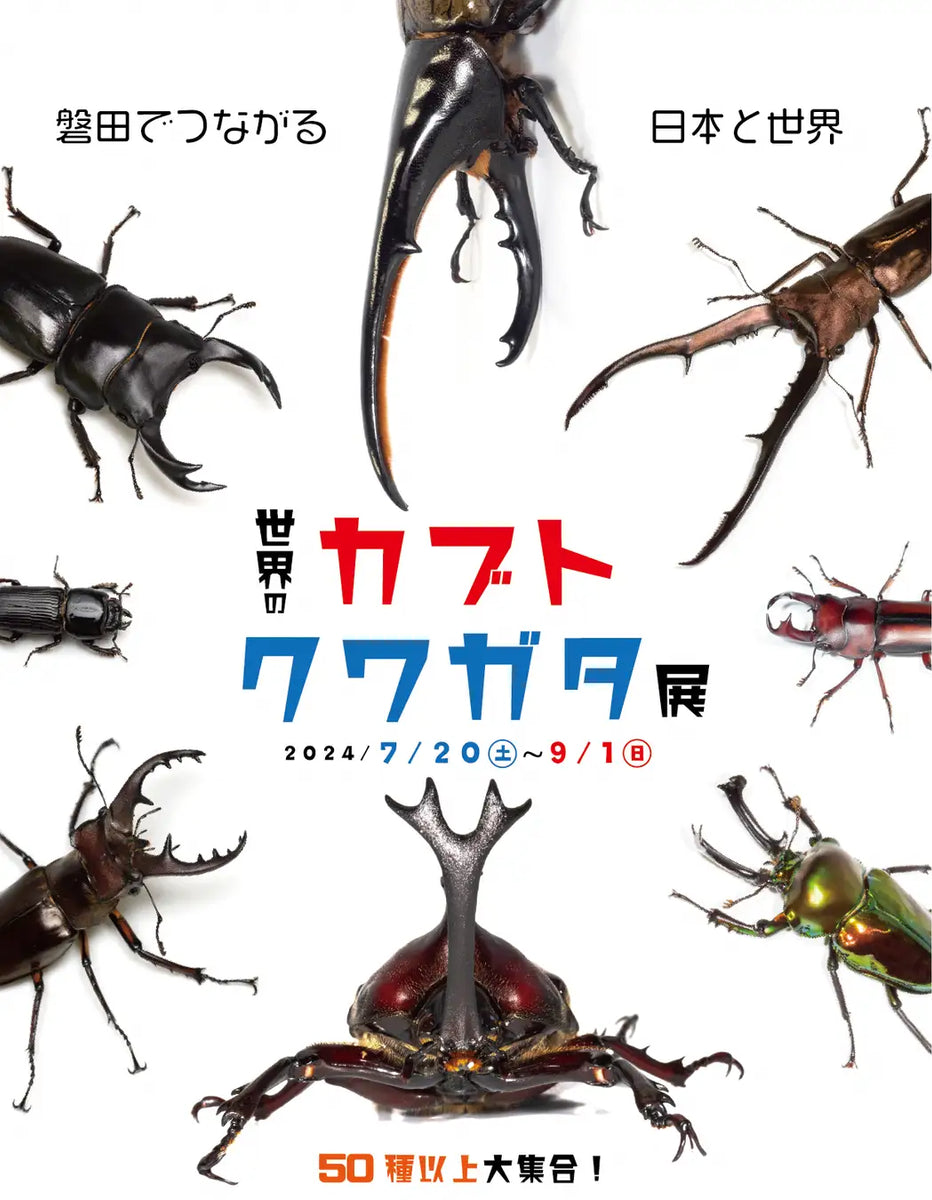 子どもたちに大人気のカブトムシ、クワガタムシが世界から大集合「世界