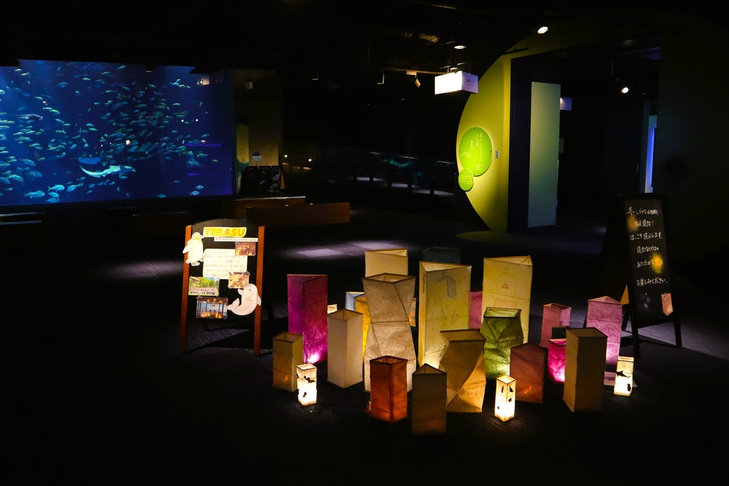 香川大学の学生が制作した讃岐提灯を四国水族館に展示しています・提灯ならではのあたたかな灯りを楽しんで