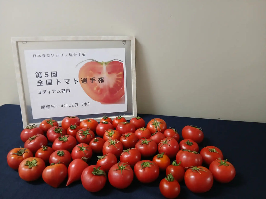 ミディアムトマト日本一が決定！大分県玖珠郡玖珠町「美山ルビー/大分