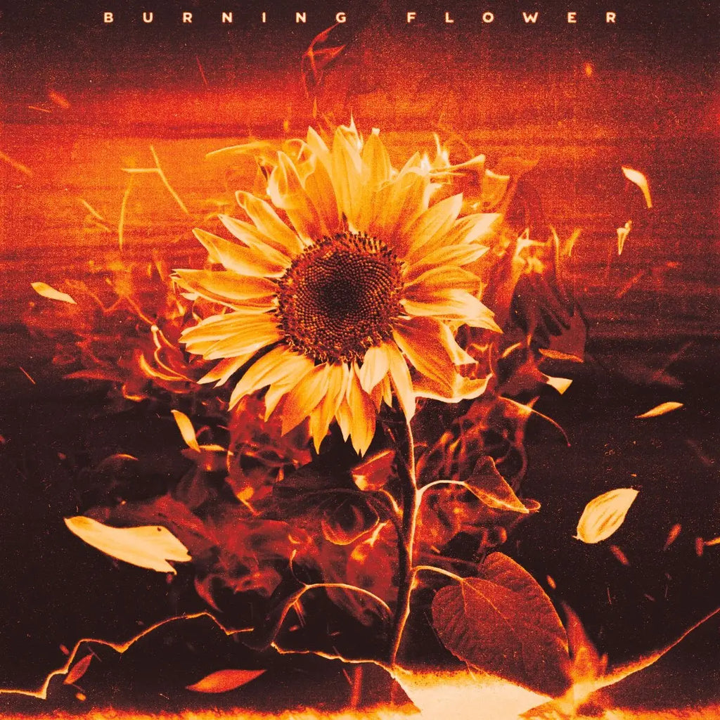 鮮烈なデビューから快進撃を続けるHANA！新曲「Burning Flower」が本日配信リリース！圧巻の迫力＆パフォーマンスを魅せるMVも同日公開！