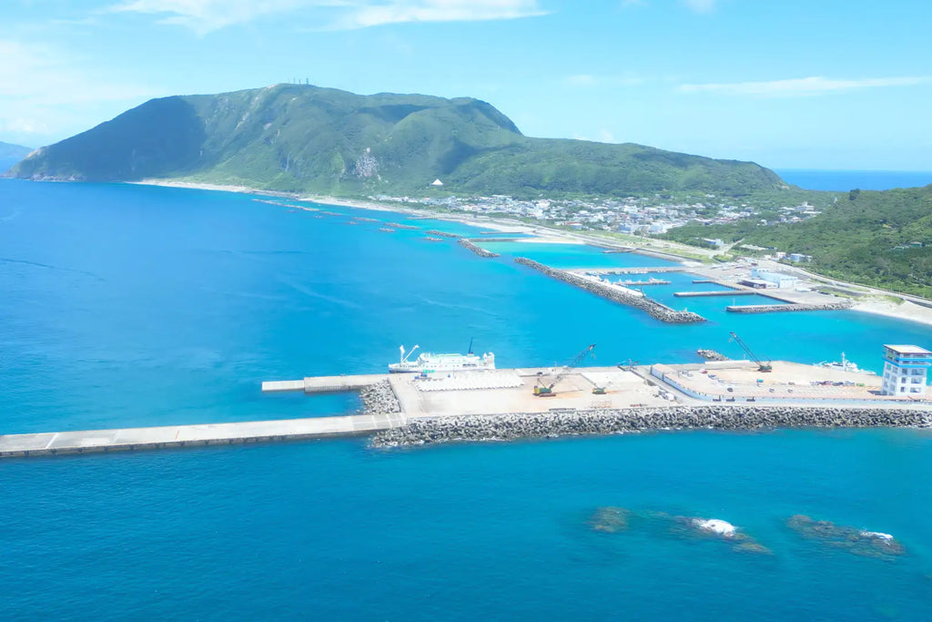 【イベントレポート】「乃紫」が伊豆諸島の高校でライブ実施、『1000日間』を披露！160kmの海を越えて届けた「青春ボーナスタイム」～高校生とともに作り上げた、夏休みの忘れられない『奇跡の一日』～