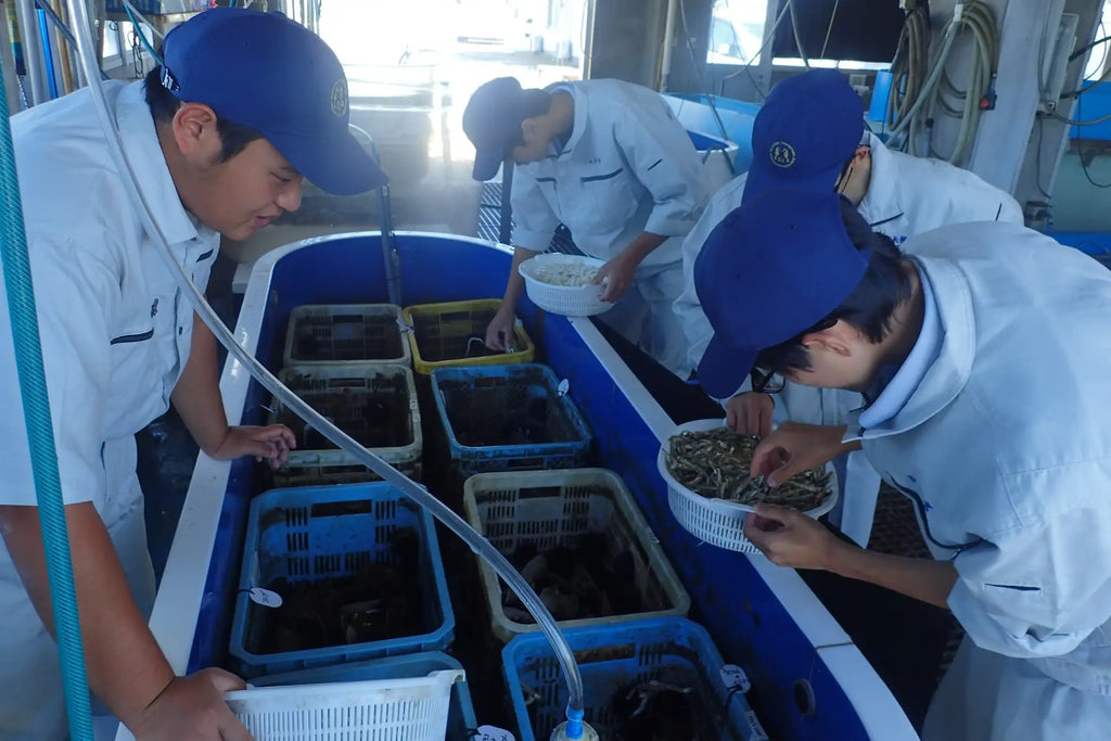 「讃岐うどんの廃材で海の再生」香川の海を循環させる新しい食のかたち・多度津高校 海洋生産科との共同開発プロジェクト『讃岐うどん雲丹』を2025年10月20日（月）より提供開始