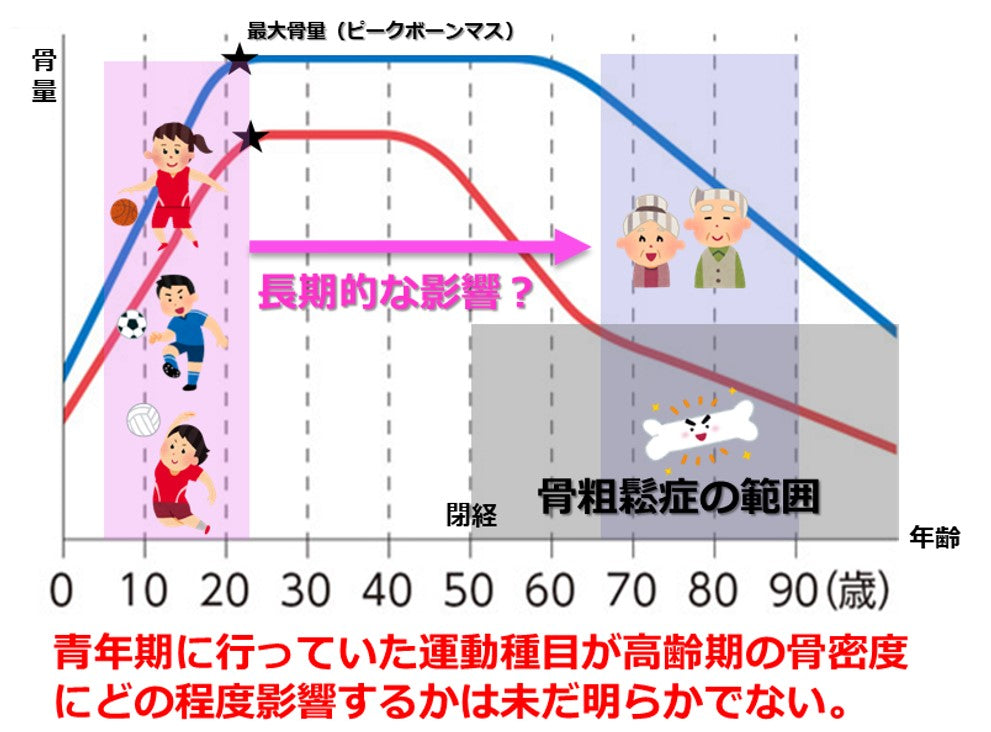 青年期にバスケットボールやバレーボールをすると高齢期の骨密度が高くなる？ ～高齢者を対象とした文京ヘルススタディー（観察研究）で明らかに～