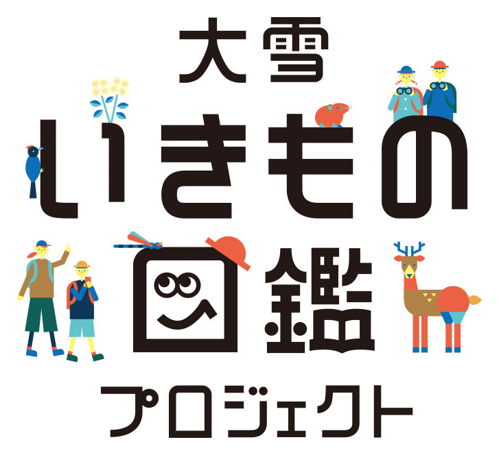 北海道 上川町で実施中の「大雪いきもの図鑑プロジェクト」にJICA留学生18名が参加。登山者参加型の生物多様性調査を体験。大雪山国立公園における持続可能な地域振興と観光開発を学んだ。