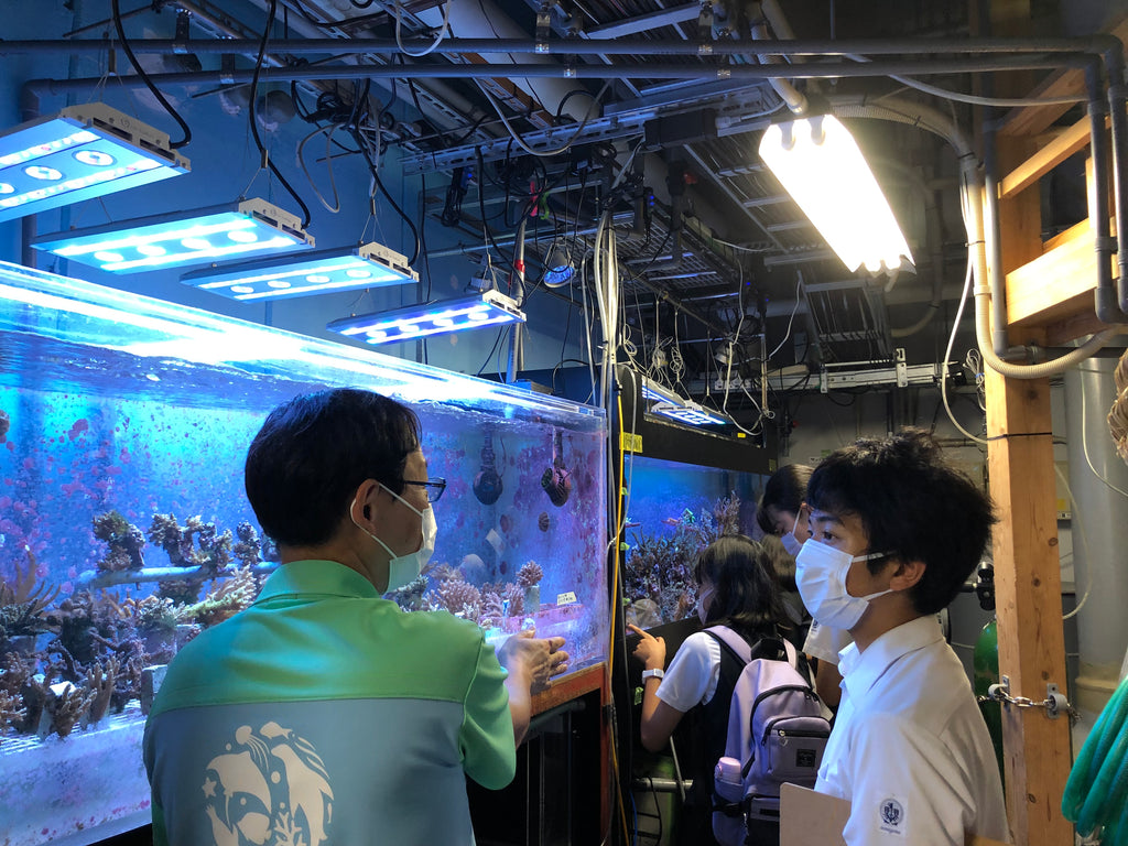 【サンシャイン水族館】豊島区内の教育機関と連携した環境学習プログラム実施中