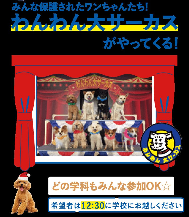 保護犬出身のワンちゃん達のサーカスショー！12月17日に開催【東京スクール・オブ・ビジネス】