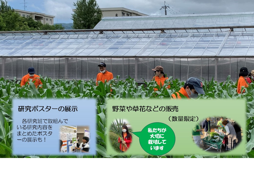 桂高校の生徒が栽培した生産物の販売実習を京都ポルタで初開催