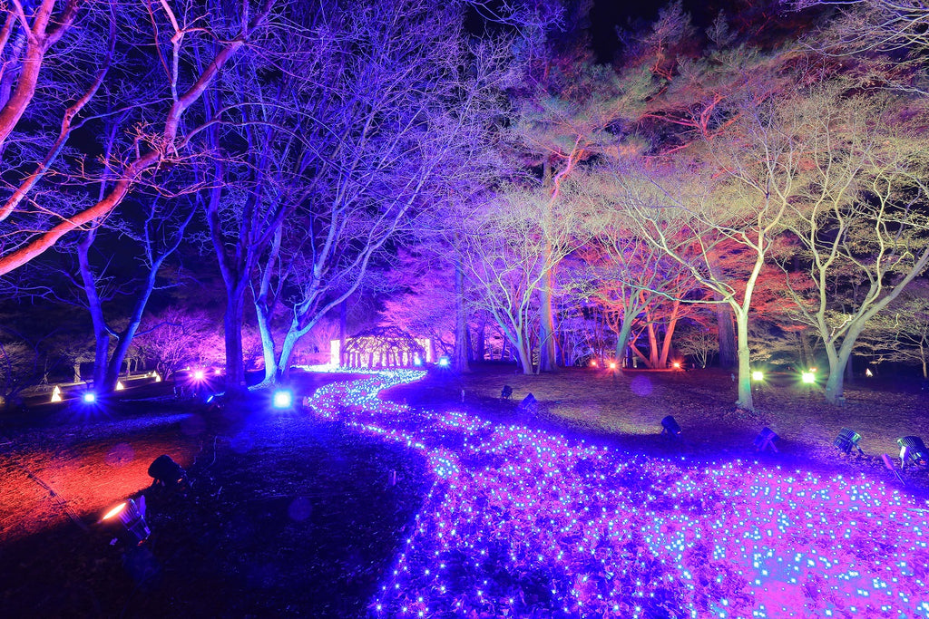 約55万球のアートイルミネーションやライトアップが光輝く「スターライトイルミネーション」2023年12月25日（月）まで開催中！（国営武蔵丘陵森林公園）