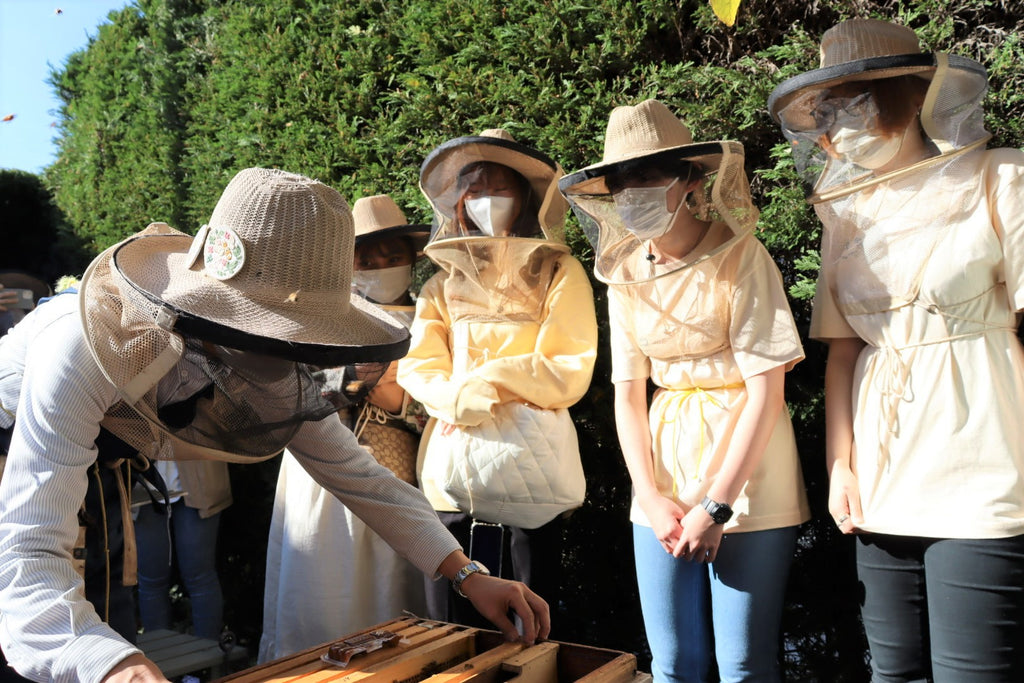 横浜で7月から養蜂を本格始動。養蜂プロジェクトに参加したい、小学生・高校生を募集します