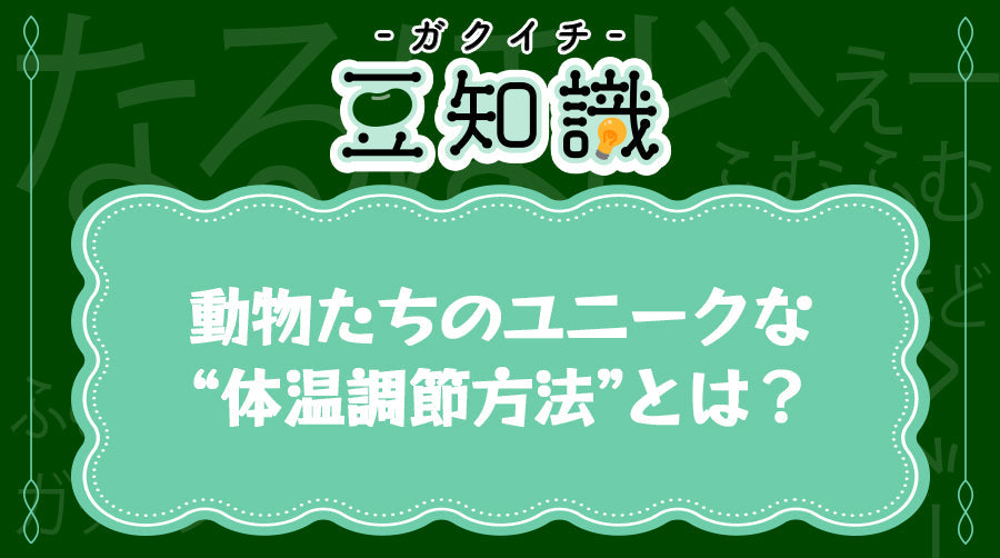 動物たちのユニークな“体温調節⽅法”とは？